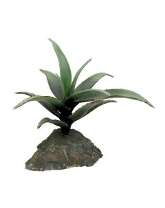 Декоративное растение для террариума Agava зеленое 15см Германия Lucky reptile