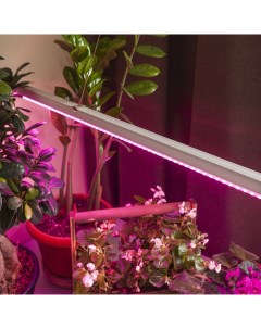 Светильник для растений светодиодный Era