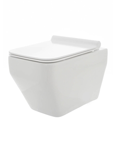 Унитаз подвесной AQM2009 безободковый, с сиденьем микролифт, белый Aquame