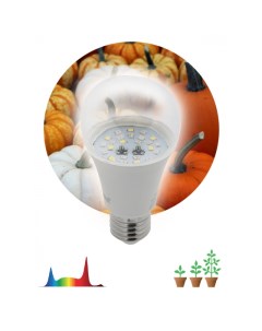 Лампа светодиодная E27 груша 11Вт полного спектра для досветки растений FITO Б0050603 Б0050603 Era