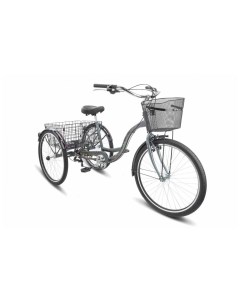 Велосипед Грузовой велосипед Energy VI V010 2021 хром Stels