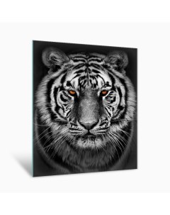 Картина на стекле Амурский тигр AG 40 103 40х50 см Postermarket
