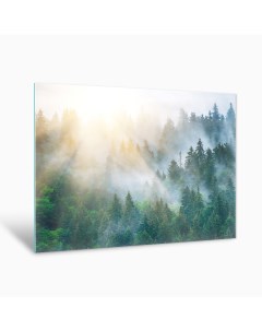 Картина на стекле Туманный лес AG 40 109 40х50 см Postermarket