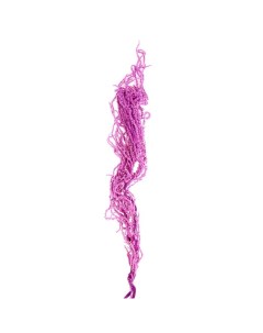 Сухоцветы Амарант фиолетовый 60 см 100 г 9768510 Nobrand