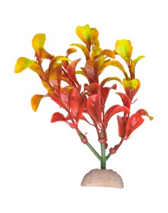Растение для аквариума лисимахия красно жёлтая пластик 30см Nobrand
