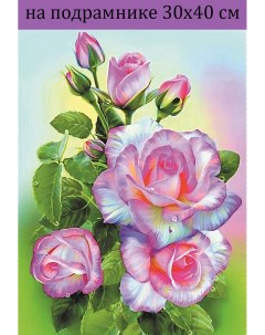 Алмазная мозаика HWB2650 розовые розы на подрамнике 30х40 Nobrand