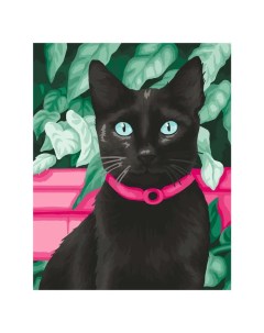 Картина по номерам на холсте ART and Relax Черный кот 40x50 Art&relax