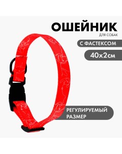 Ошейник one line застежка фастекс 2 см 25 40 см Пушистое счастье