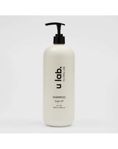 Шампунь профессиональный увлажняющий универсальный шампунь для всех типов волос ULAB 1000 0 Рябина