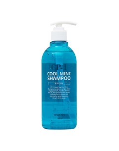Шампунь для волос Охлаждающий CP 1 Head Spa Cool Mint Shampoo 500 0 Esthetic house
