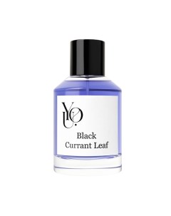 Black Currant Leaf 100 You