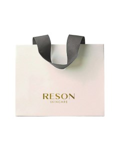 Подарочный пакет Gift Bag Reson