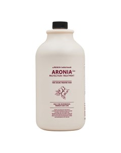 Pedison Маска для волос Арония Institute beaut Aronia Color Protection Treatment 2000 Evas