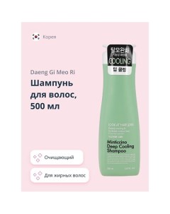 Шампунь для волос LOOK AT HAIR LOSS для жирной кожи головы 500 Daeng gi meo ri