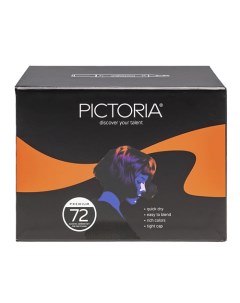 Набор двусторонних спиртовых маркеров для скетчинга и творчества 72 цвета Pictoria