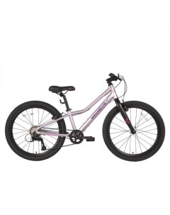 Велосипед детский Maxiscoo 5BIKE MSC M5 2403 розовый 5BIKE MSC M5 2403 розовый
