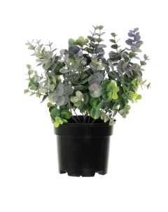 Искусственное растение в горшке эвкалипт h30 см цвет фиолетовый Без бренда