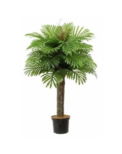 Искусственное растение пальма финиковая Саада h110 см Без бренда