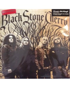 BLACK STONE CHERRY Black Stone Cherry Nobrand