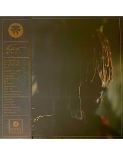 THUNDERCAT It Is What It Is Indies Only Lp Медиа