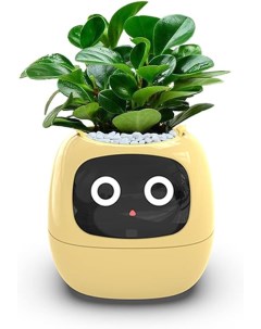 Робот ассистент питомец Ivy цветочный горшок с искусственным интеллектом жёлтый Plantsio