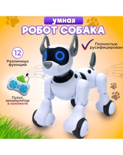 Робот собака на радиоуправлении Nobrand