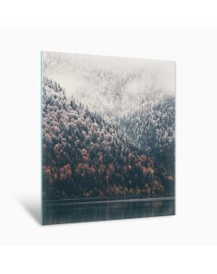 Картина Туманный лес AG 40 79 40х50 см на стекле Postermarket