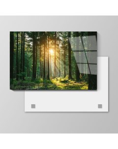 Картина Лучи солнца в лесу 70х105 см на стекле 639208037 Nobrand