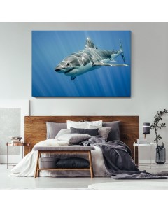 Картина Белая акула 70х105 см на холсте 569435146 Nobrand