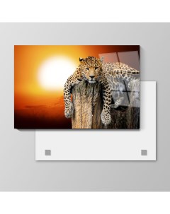 Картина Леопард на отдыхе 50х75 см на стекле 109205585 Nobrand