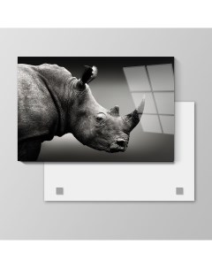 Картина Носорог 50х75 см на стекле 594008937 Nobrand