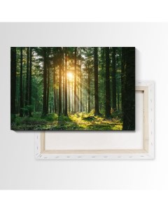 Картина Лучи солнца в лесу 70х105 см на холсте 604025215 Nobrand