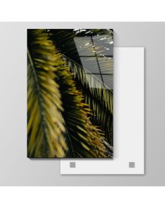 Картина Prostokartina на стекле Листья пальмы 105х70 см 686096185 Nobrand