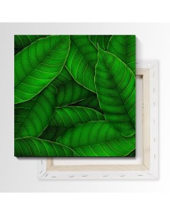 Картина Зеленые листья 50х50 см на холсте 596938568 Nobrand