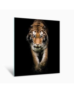 Картина на стекле Амурский тигр AG 40 88 40х50 см Postermarket