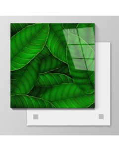 Картина Зеленые листья 110х110 см на стекле 274903694 Nobrand