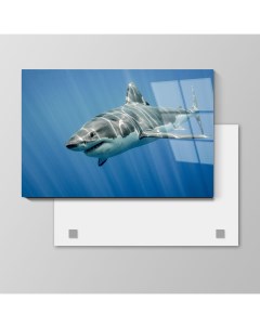 Картина Белая акула 90х135 см на стекле 406209620 Nobrand