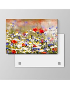 Картина Полевые цветы 60х40 см на стекле 8203494 Nobrand