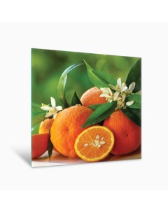 Картина Апельсины AG 44 03 40х40 см на стекле Postermarket