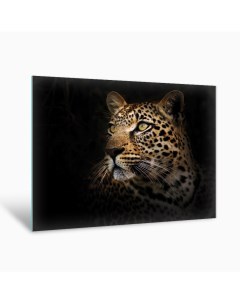 Картина на стекле Леопард AG 40 87 40х50 см Postermarket