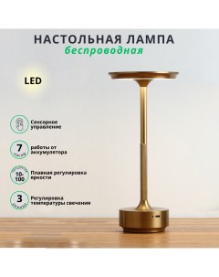 Беспроводная настольная лампа светодиодная с аккумулятором 3000 6500К Fedotov