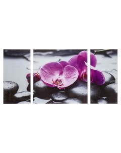 Картина модульная на стекле Орхидеи 2 25 50 1 50 50 см 100 50см Nobrand