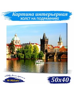 Картина интерьерная на холсте Лето в Праге IP54 14 50x40см Милато