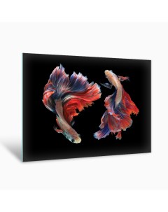 Картина на стекле Бойцовые рыбки AG 40 83 40х50 см Postermarket