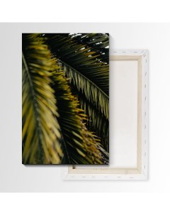 Картина Листья пальмы 105х70 см на холсте 483889360 Nobrand
