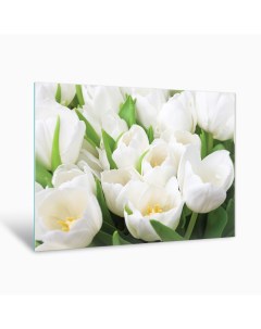 Картина на стекле Белые тюльпаны AG 40 52 40х50 см Postermarket