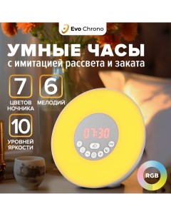 Электронный будильник Настольные часы с FM Приключения электроники