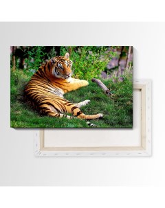 Картина Prostokartina на холсте Тигр на отдыхе 90х135 см 170698892 Nobrand