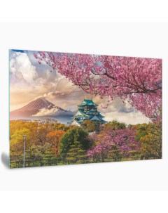 Картина на стекле Замок в Осаке AG 50 45 50х70 см Postermarket