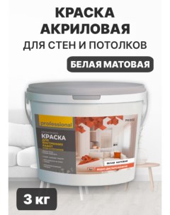 Акриловая краска PW202 для стен и потолков белая матовая 3 кг Professional